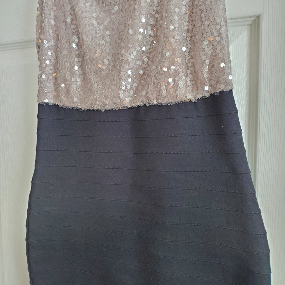 Express Sequin Dress - Picture 4 of 5